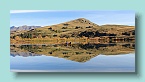 127_Autumn Rowers